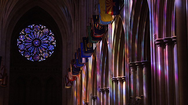 Check for The Creation Rose airing on a public television station near you!